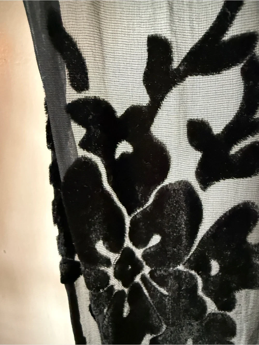 Echo Black Sheer Velvet Burnout Scarf with Fringe